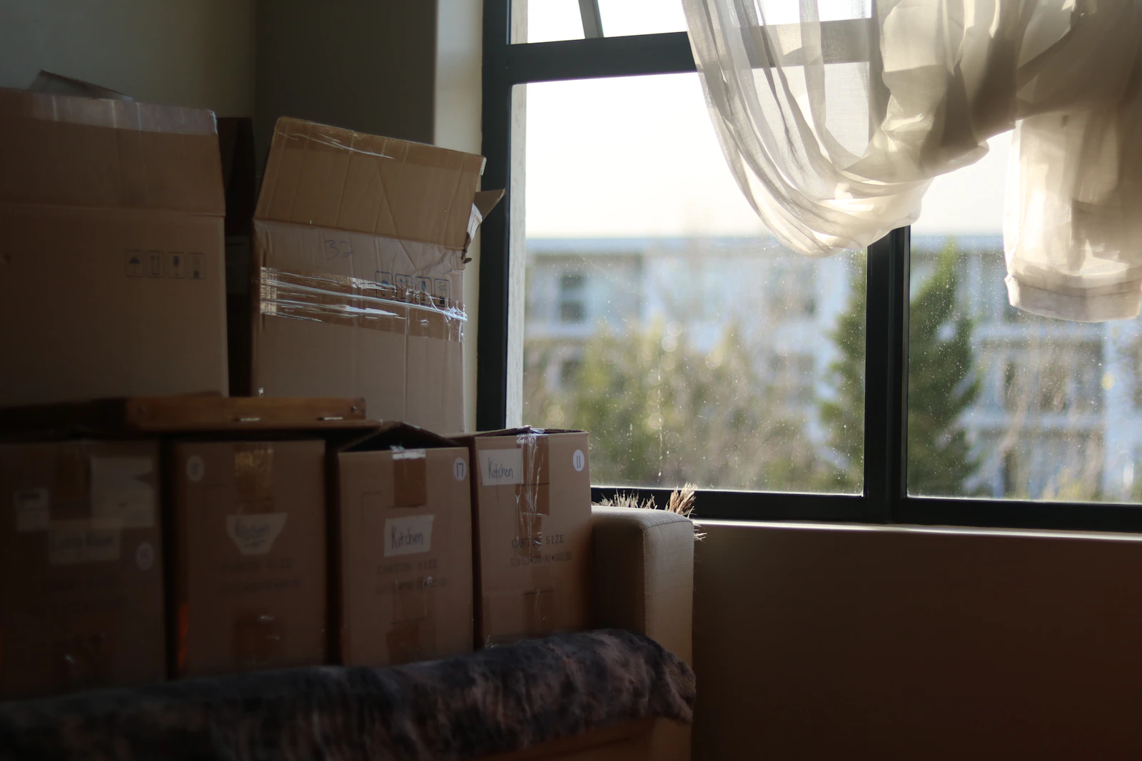Packed moving boxes beside a window